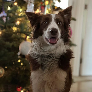 Meet your Posher, Ben